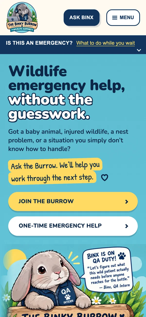 Full page of thebinkyburrow.org on a phone