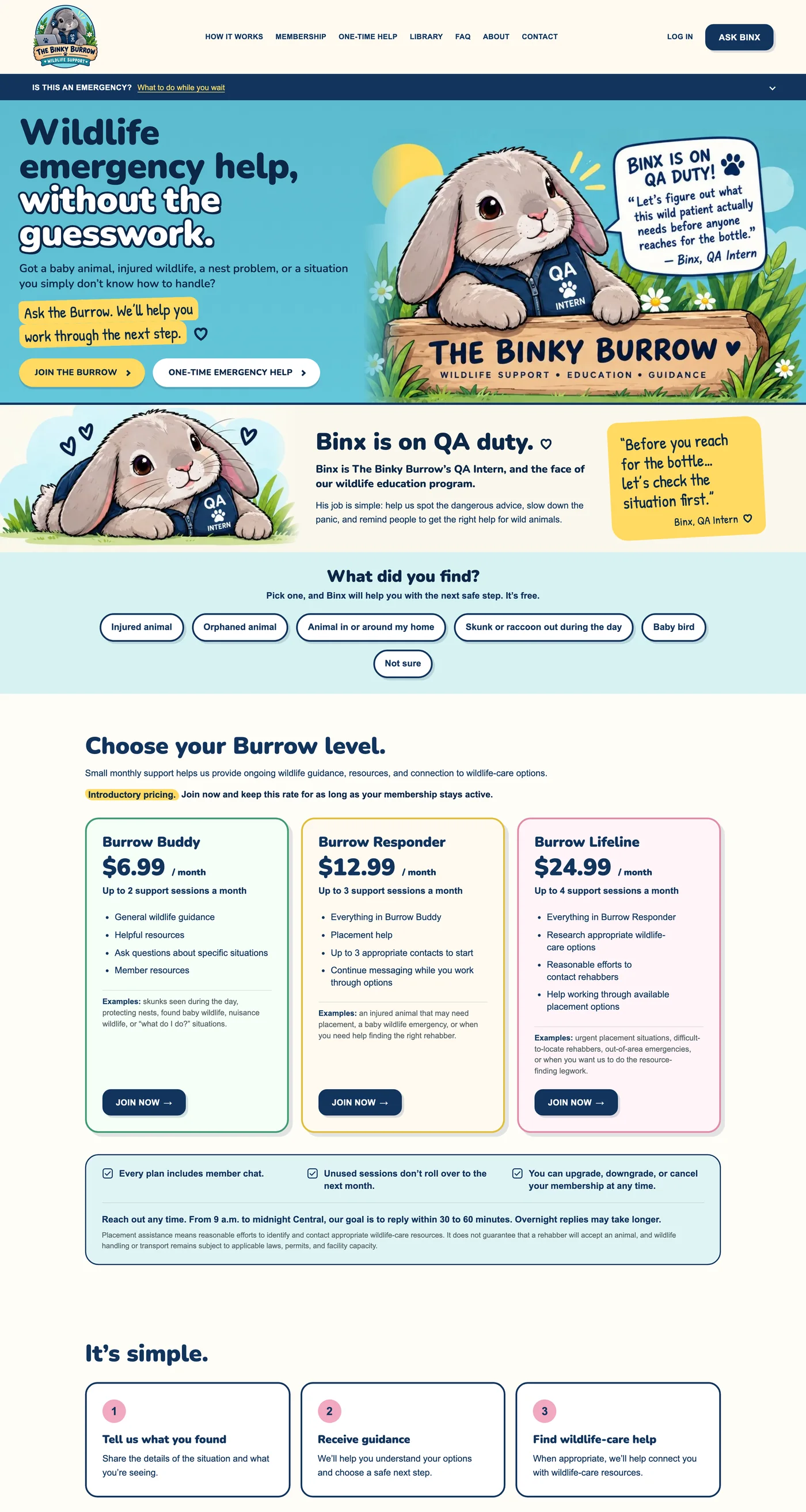 Full page of thebinkyburrow.org on a computer